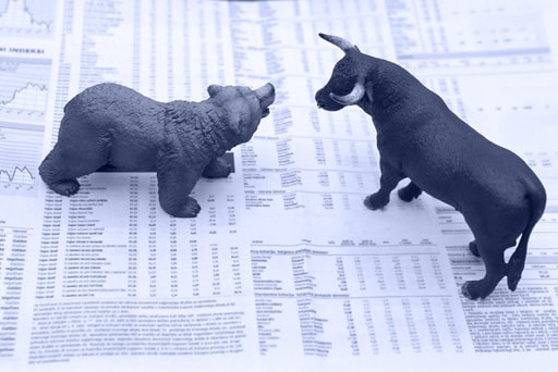 bull and bear on stock report