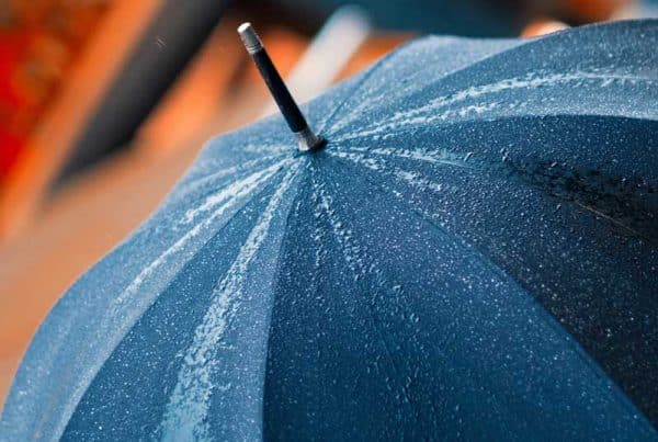 umbrella in the rain
